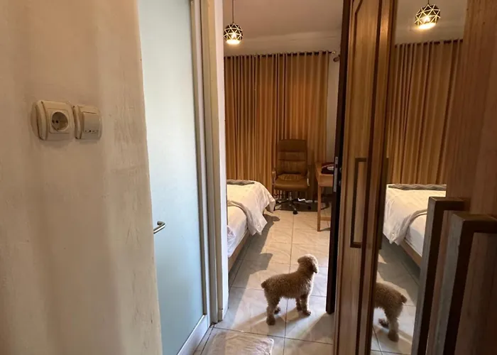 Popi House Ungasan